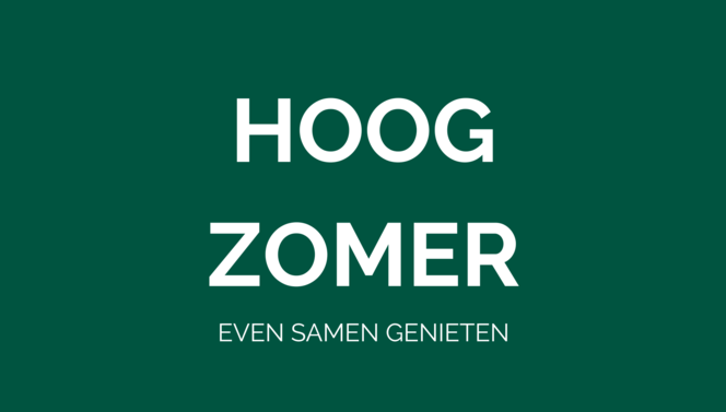 Zomerterras van Hotel Zaltbommel