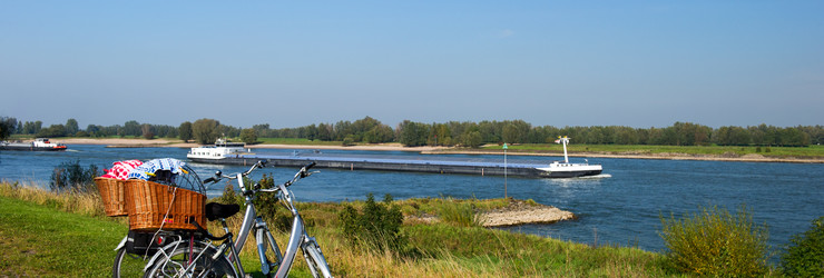 Rivierenland-Fahrrad-Zaltbommel