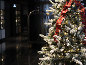 Celebrate the holidays